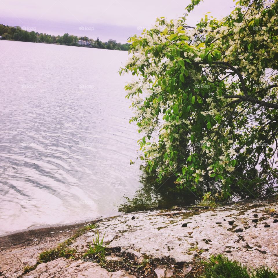 pic of a sea in sweden called "långsjön" the pic is taken of cliff