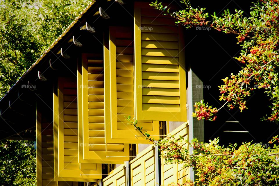 Bright yellow window shutters in sunlight 