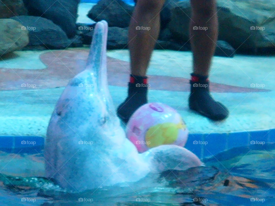 Swimming, Underwater, Water, Dug Out Pool, Swimmer