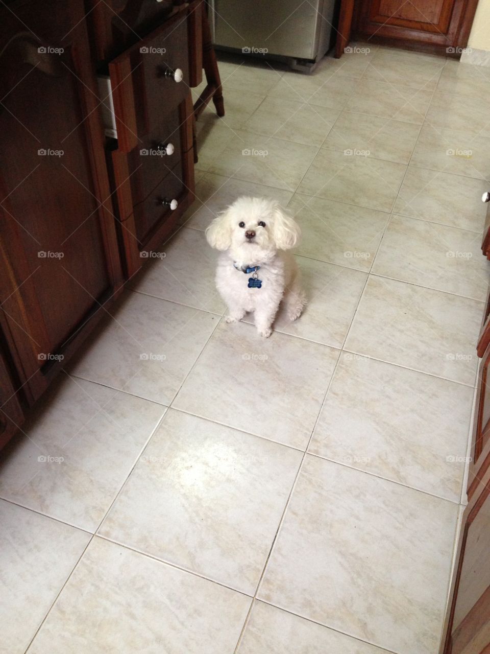 What do you mean you Cooked meatloaf again ?