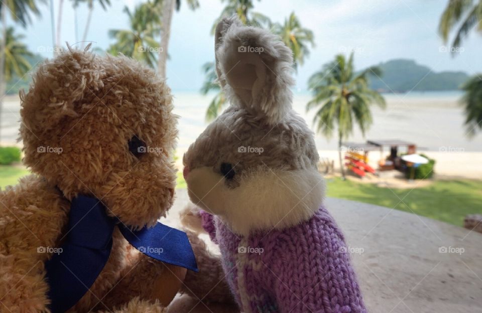 Bear and bunny in romantic mood at sea