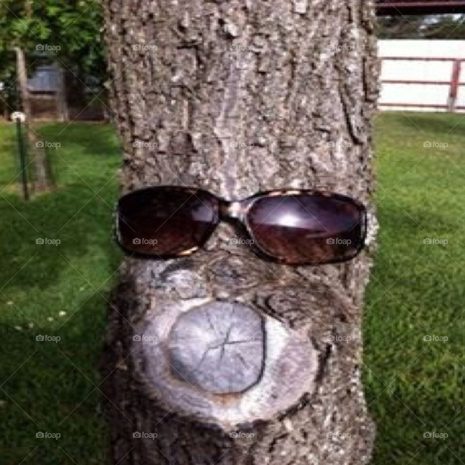 Tree with style 