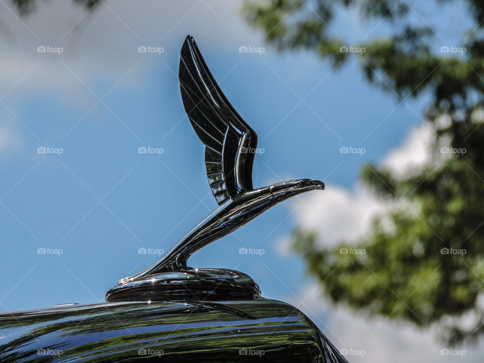 Hood Ornament