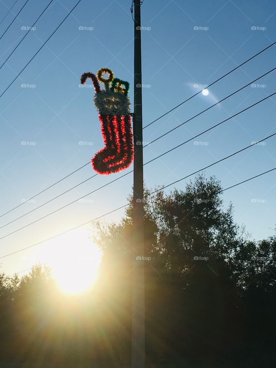 Christmas in the Sunshine State 