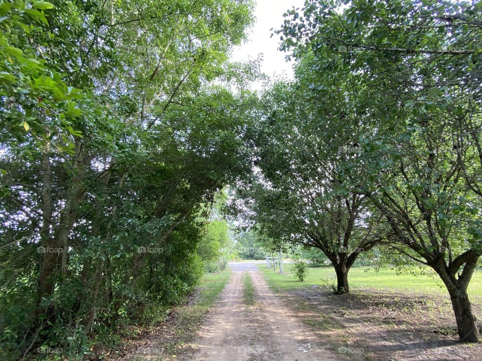 A beautiful way to walk through 