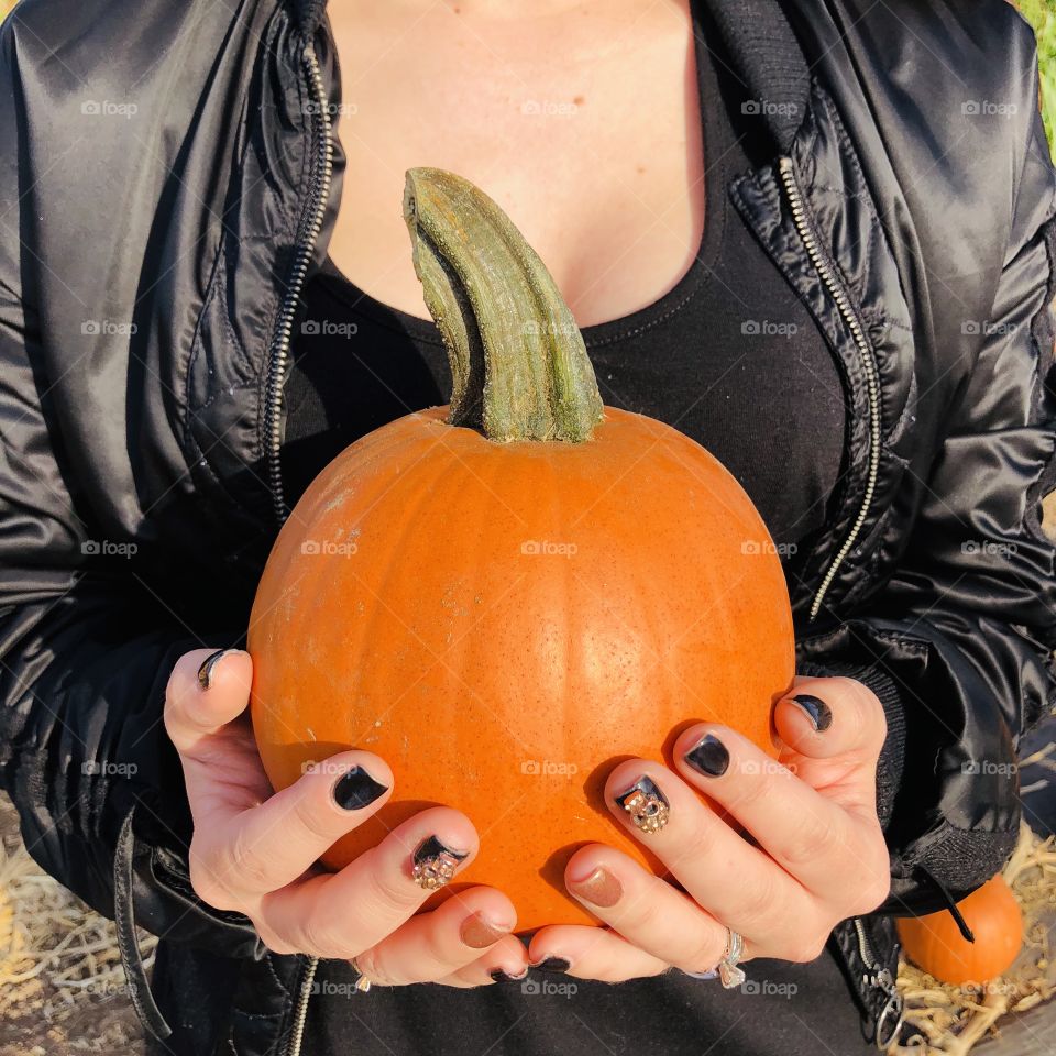 Pumpkin Picking 