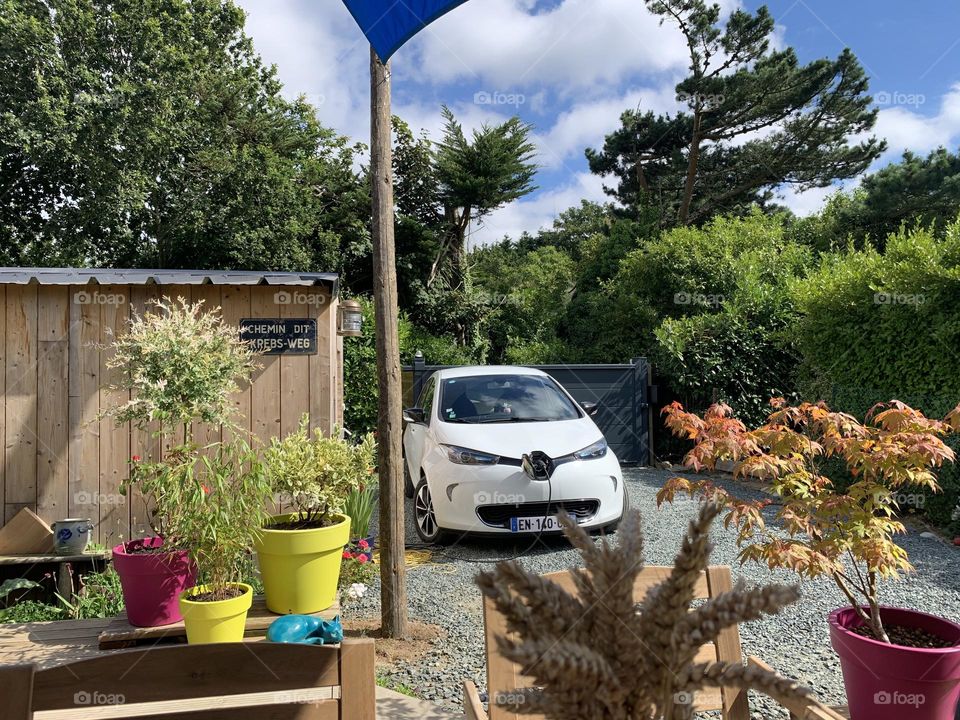 Be authentic : Go Green ✅