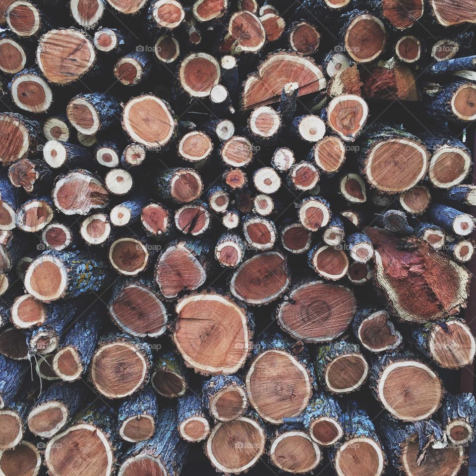 Stacked . Stack of wood