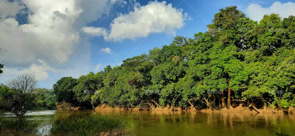 😍A romantic reunion of the forest and the river😍