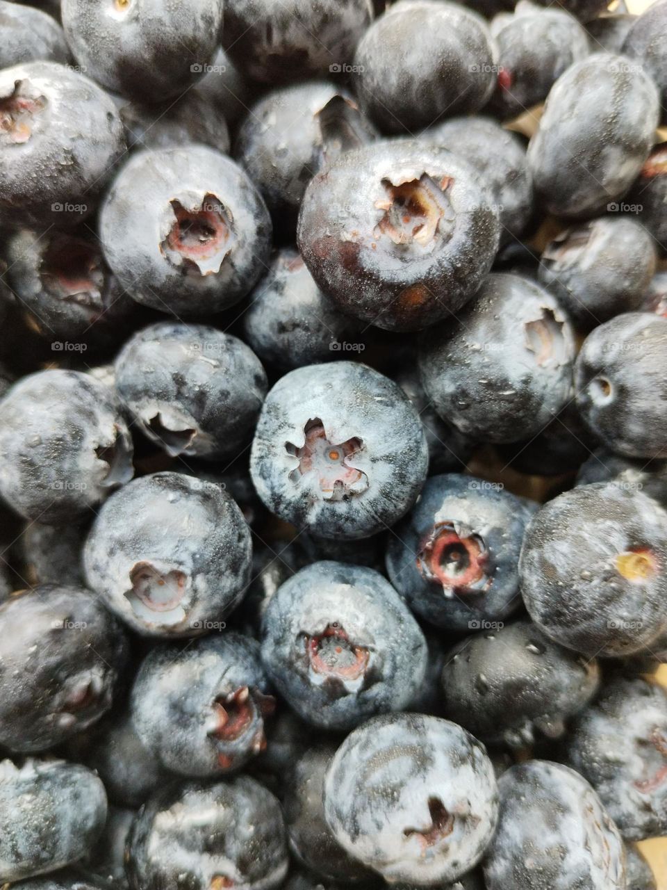 Lessons 2: Join premier mission