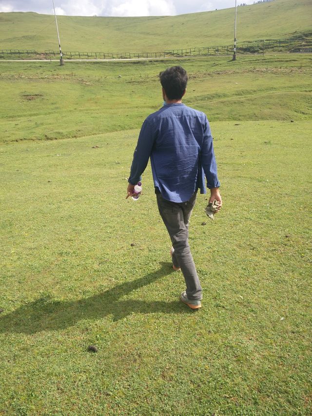 morning walks cool and fresh and fresh environment atmosphere
