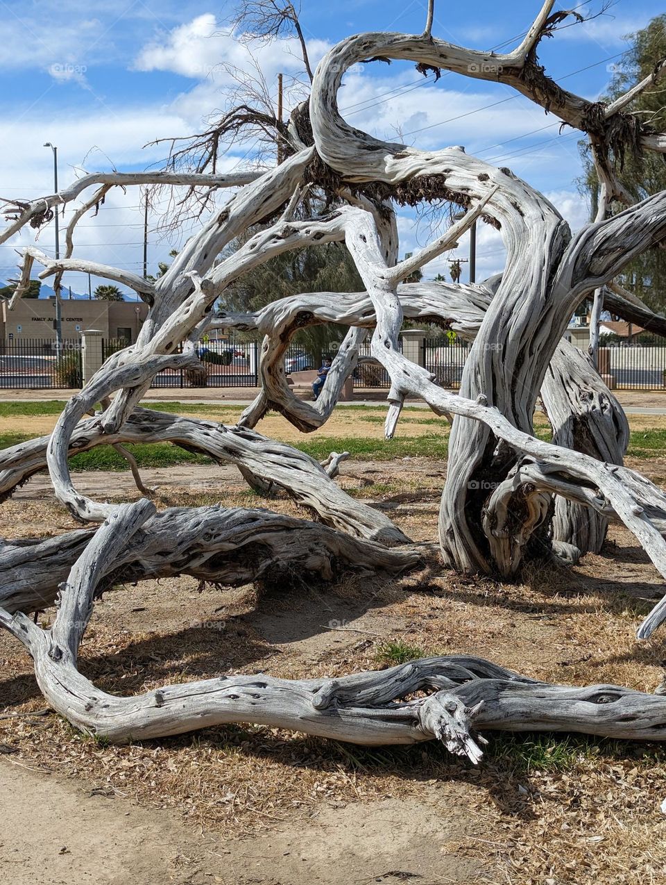 #Curbs of Expectations