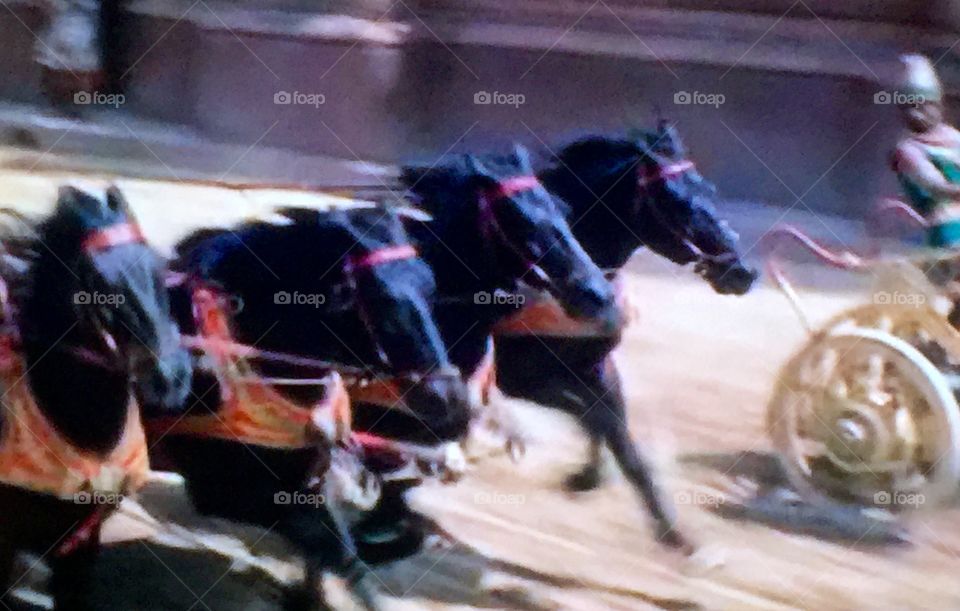 Majestic horses, still from Ben Hur