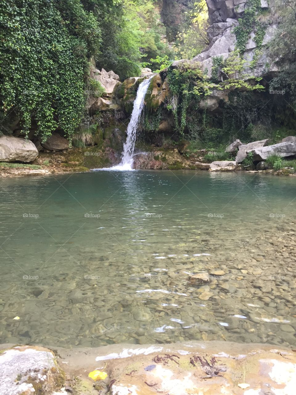 Scenic view of waterfall