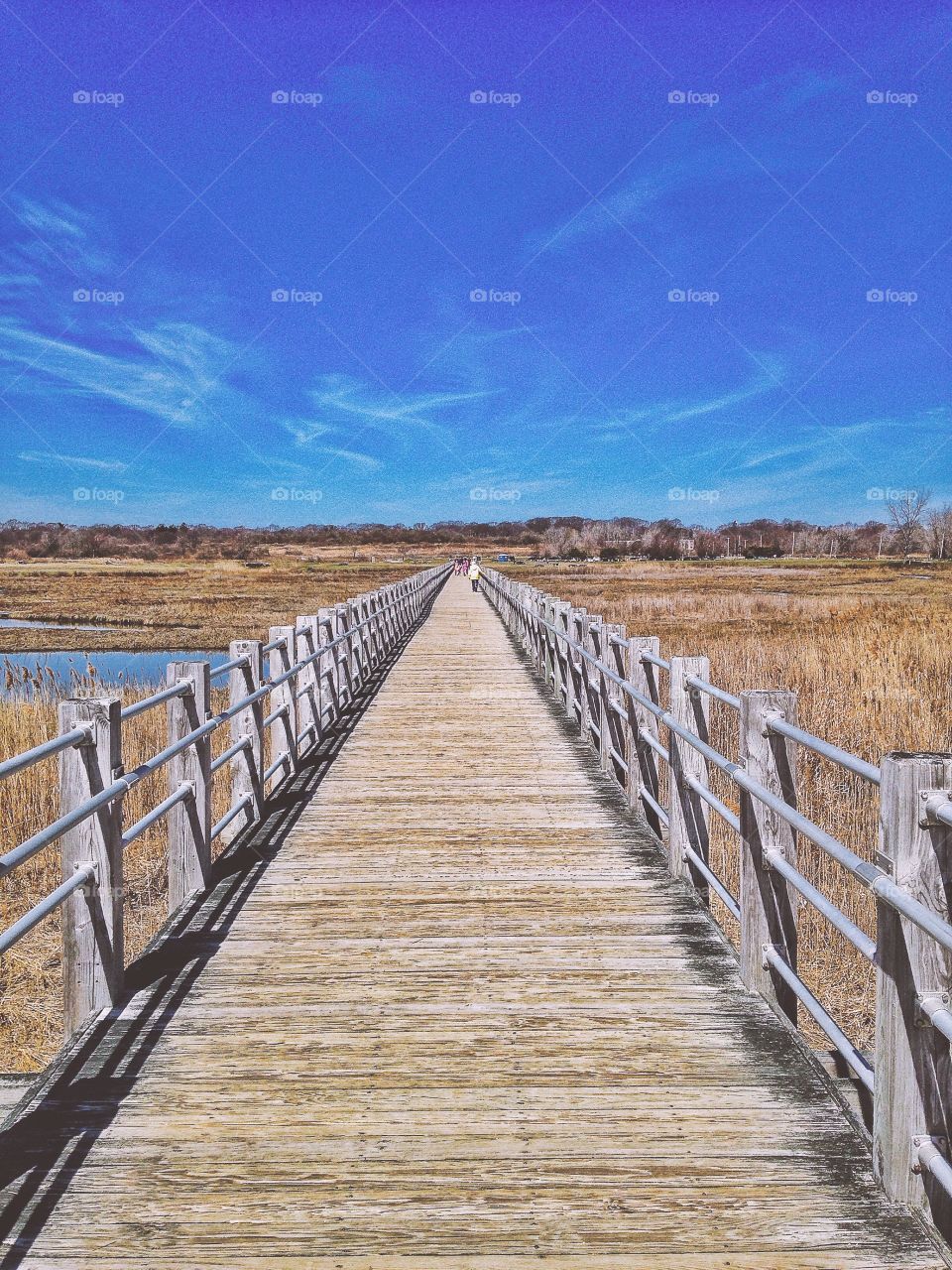 Silver Sands State Park