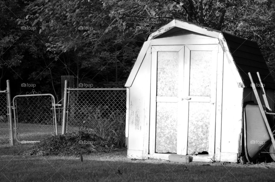 Old shed