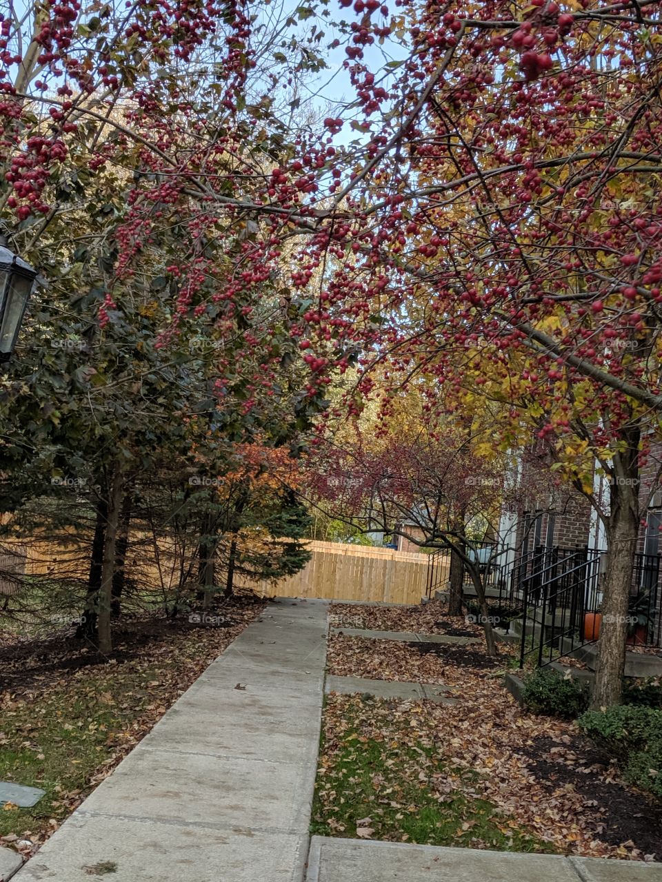 fall