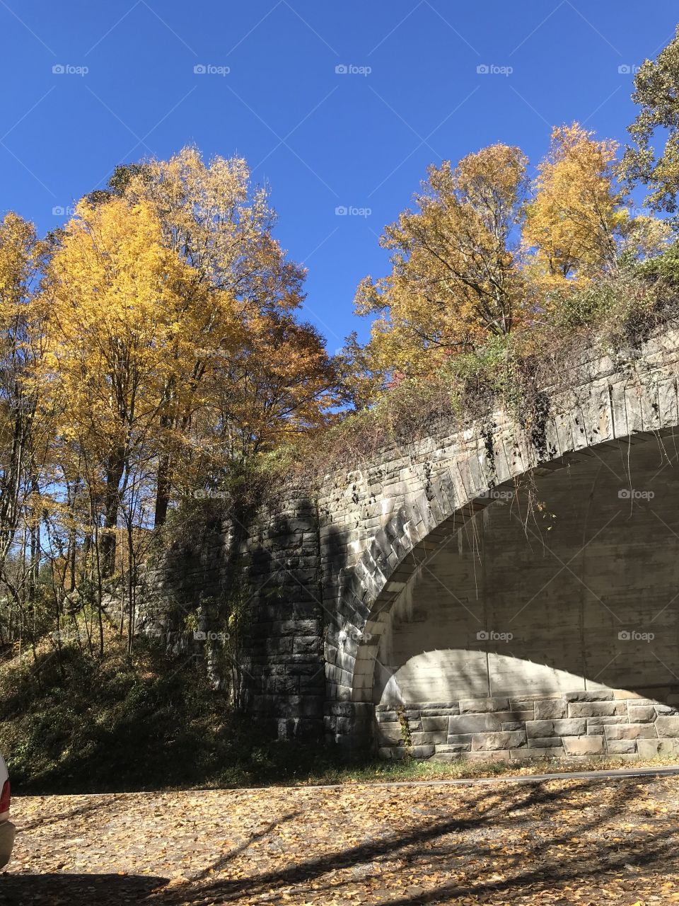  Ridge with fall colors