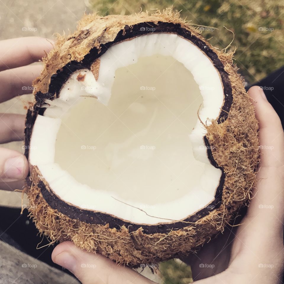 Coconut
