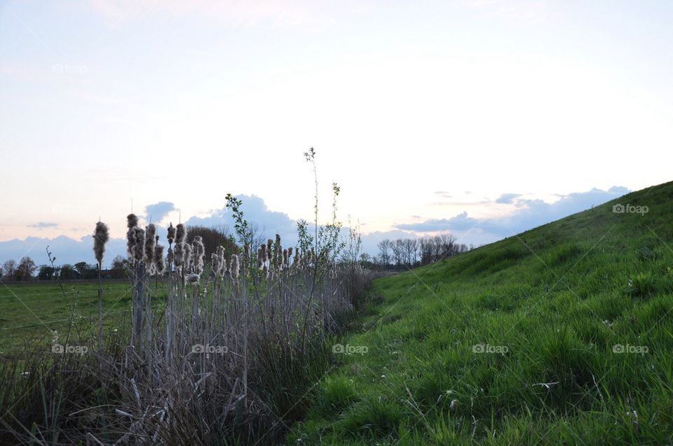 On top of the tunnel.