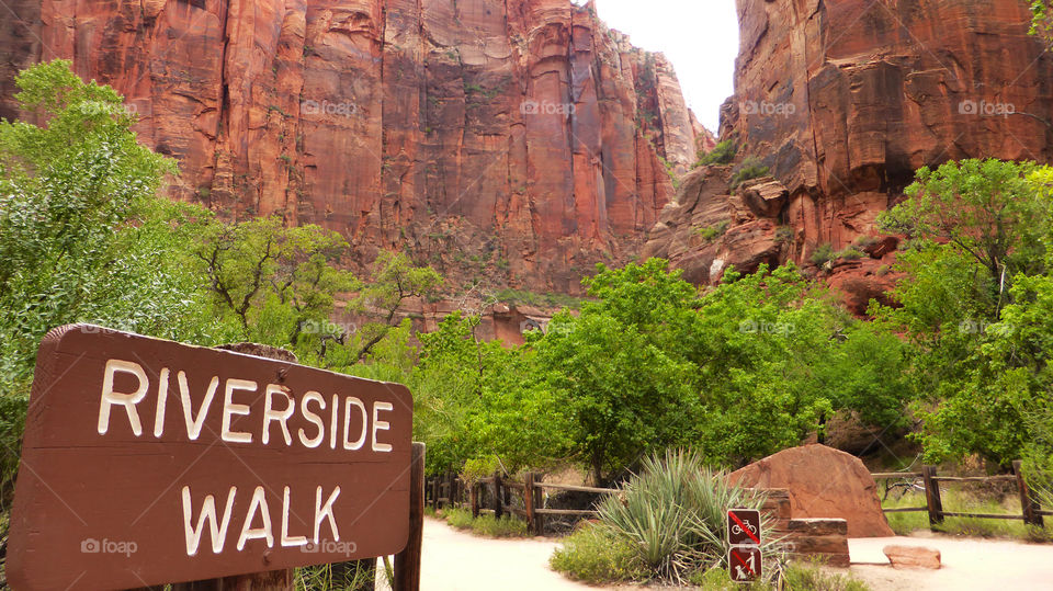 Riverside walk trail,Zion National Park,Utah