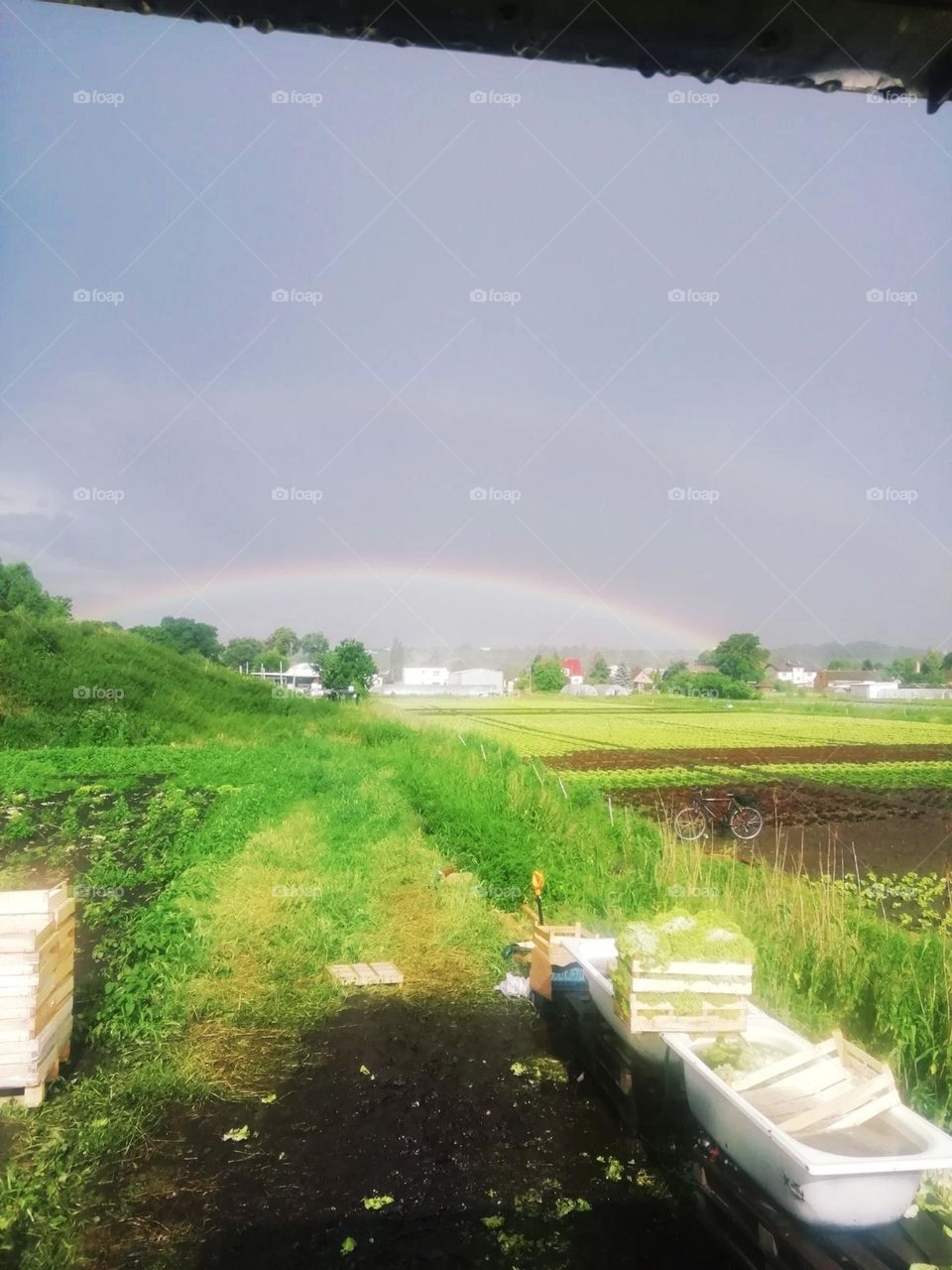 be authentic go green