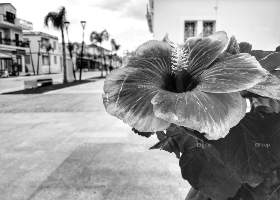 Smells like winter! ;)