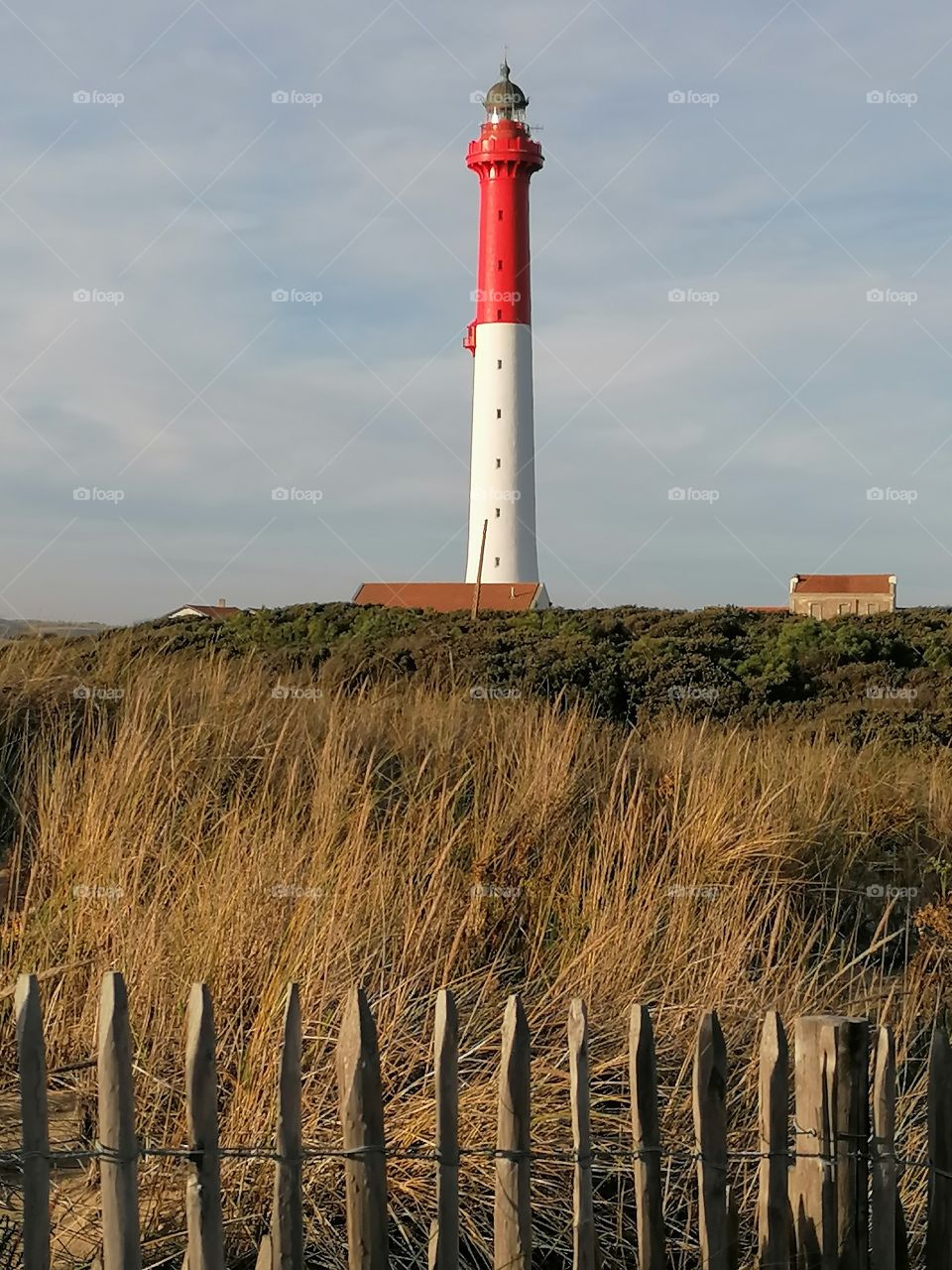 Phare