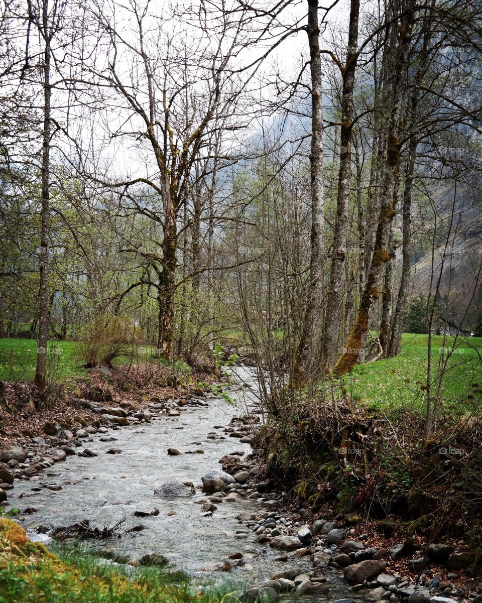 When the leaves are gone.