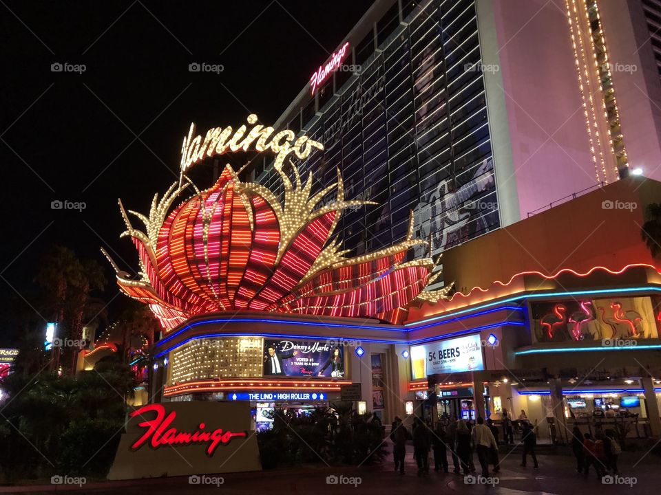 Flamingo Hotel Las Vegas