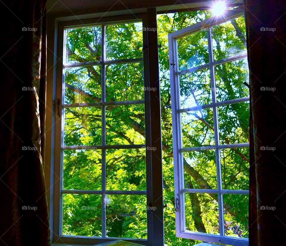 Summer window