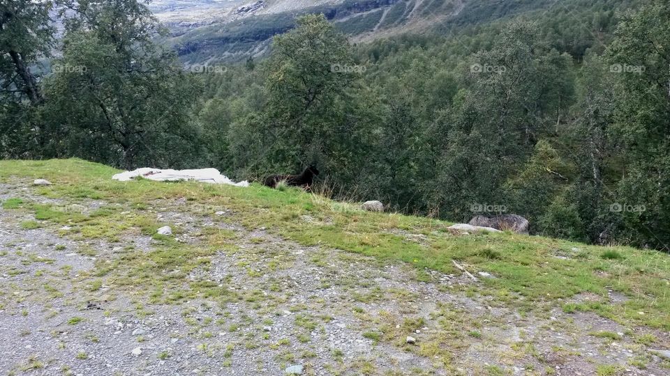 The rough nature in Norway