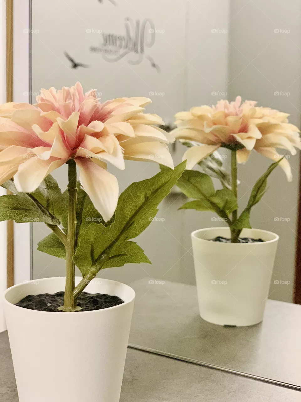 Flowers 🌸