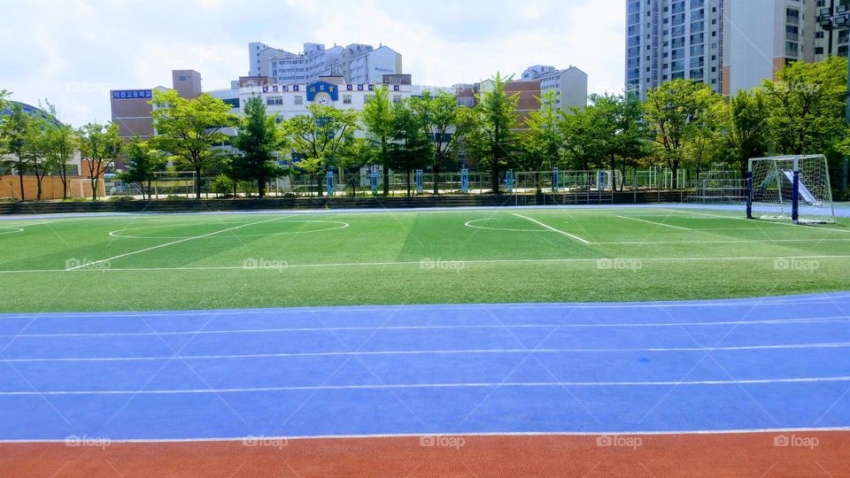 colors of the spring