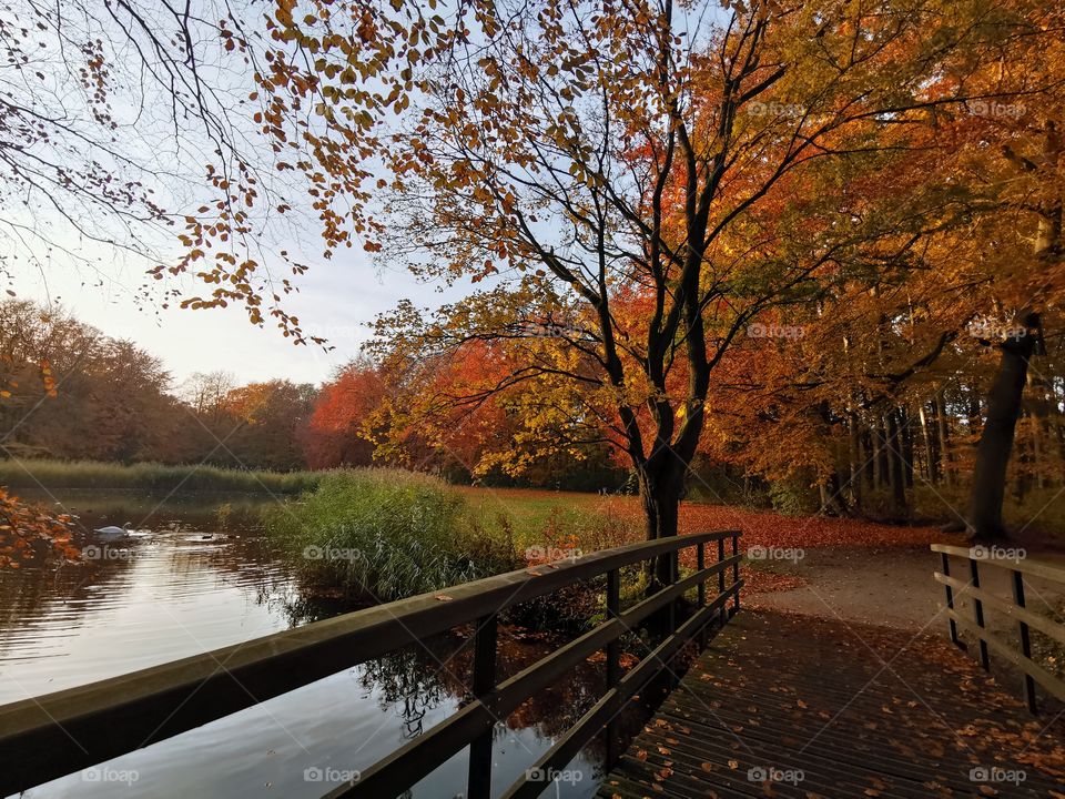 A beautiful autumn day in The Hague doesn't need any filters.