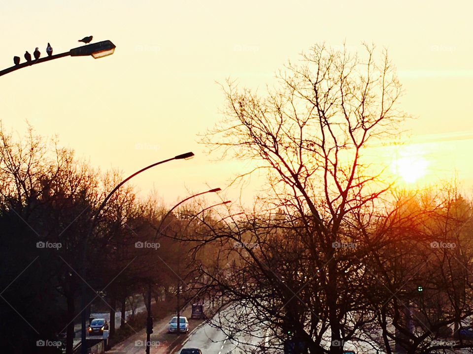 morning traffic sunrise in Hamburg 