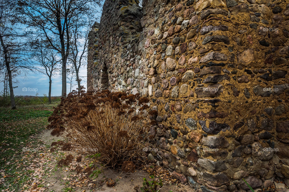 Gryżyna, Poland