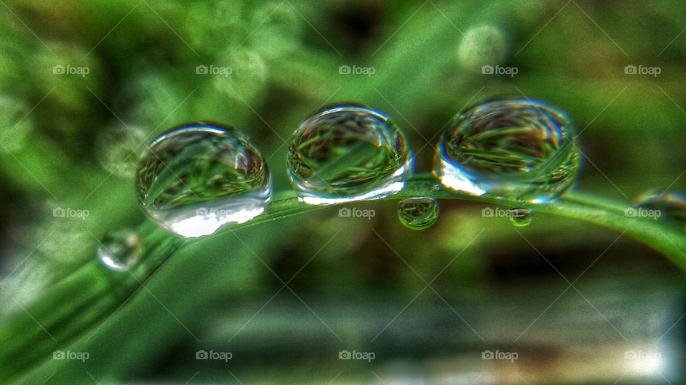 Macro Photography of raindrops on Grass