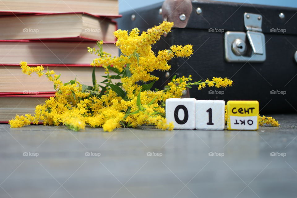 School, back to school, day of knowledge, September 1, flowers, holiday, autumn, first day of autumn, school board, pens, school supplies, markers, pencils, pencil case, knowledge, pupil, schoolboy, student, teacher, teacher, chalk, Notebooks, books, school year, the beginning of the school year, the session, the training