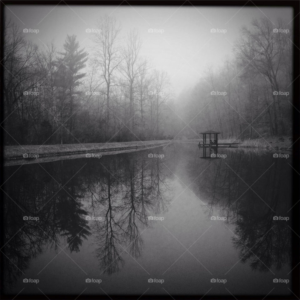 Fog on the Swimming Lake.