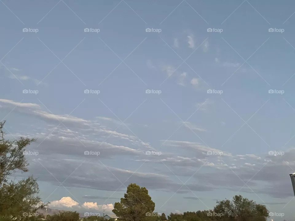 Multiple green trees with the background of a blue sky with several grey clouds.