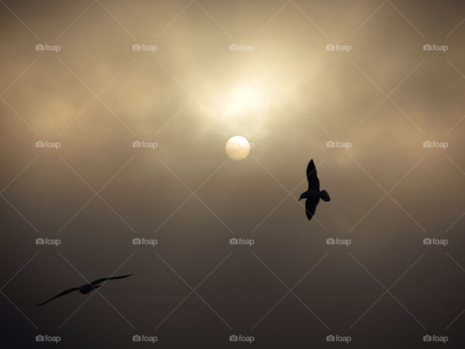 newburgh ny clouds birds sunrise by delvec