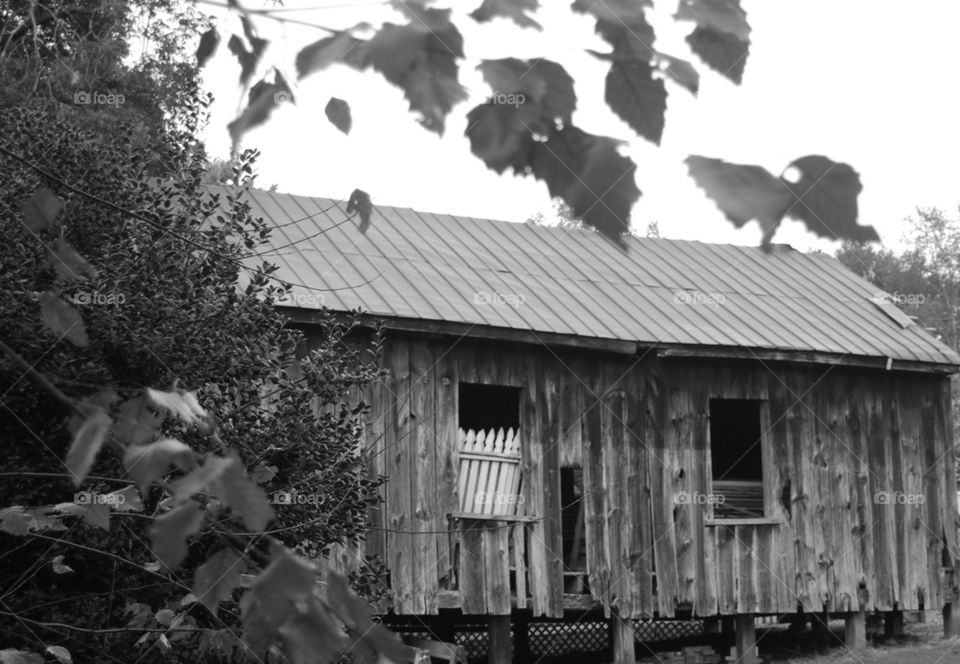 Old barn ... Black and White