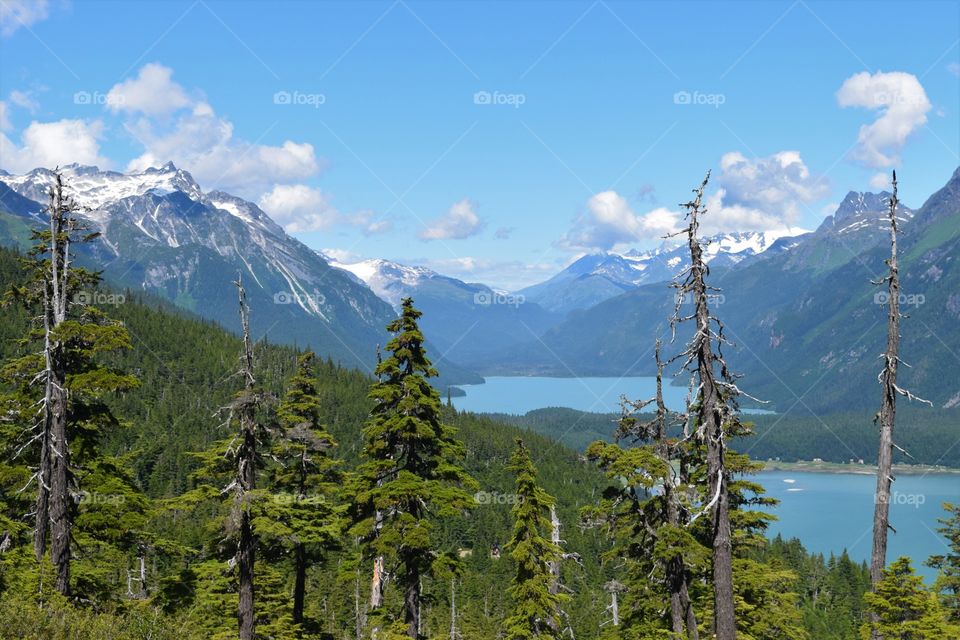 Gorgeous scenery high atop a mountain near Haines Alaska