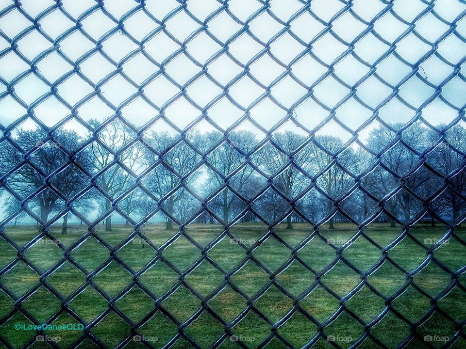 Winter ice fog in Jackson Park, Chicago. View of trees through an old cast iron fence.