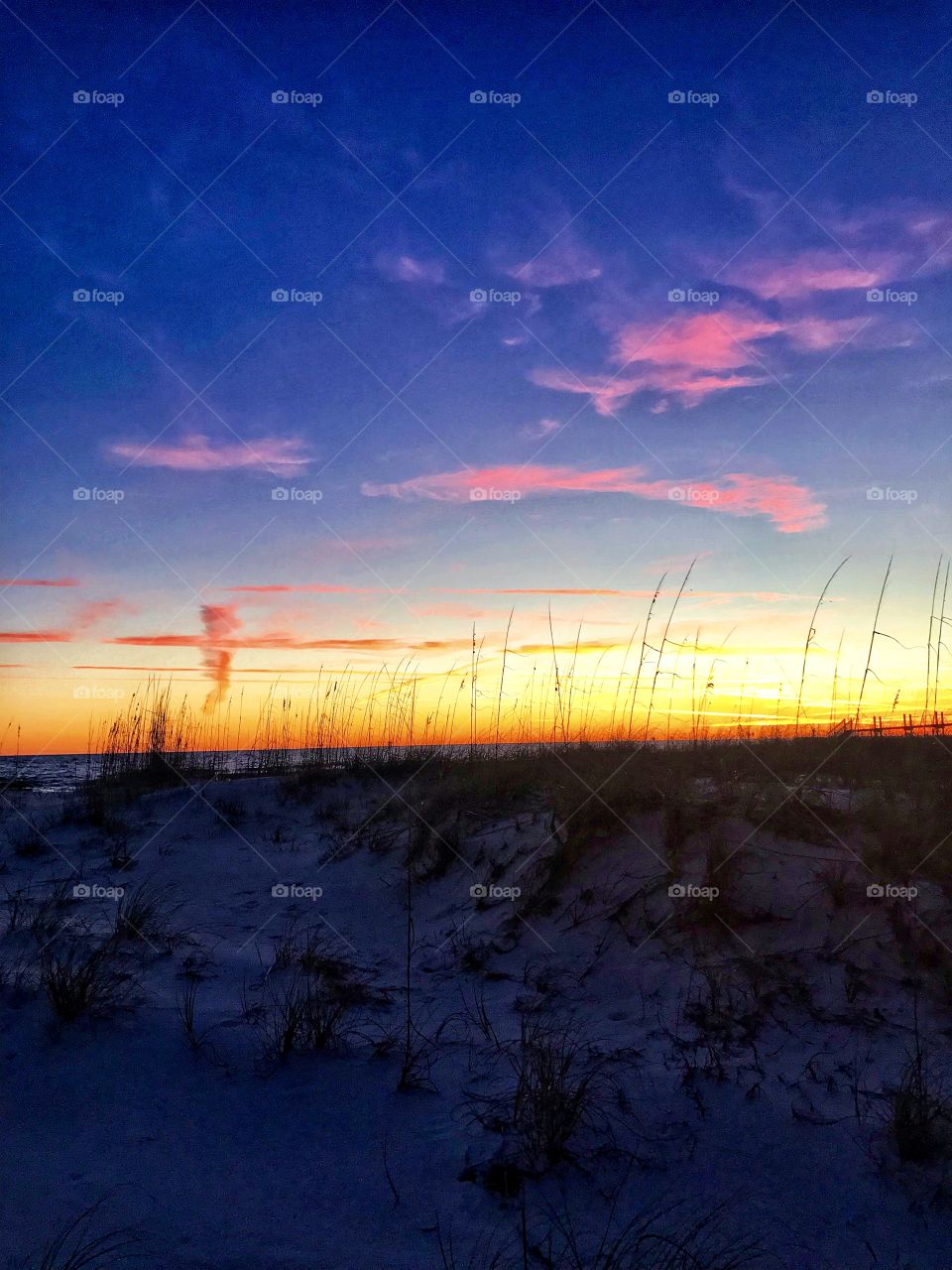 Life’s a beach, so live it up to the fullest. One day or day one, you decide your dreams. 