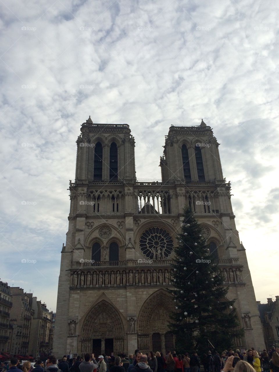 Notre Dame Cathedral in Paris 
