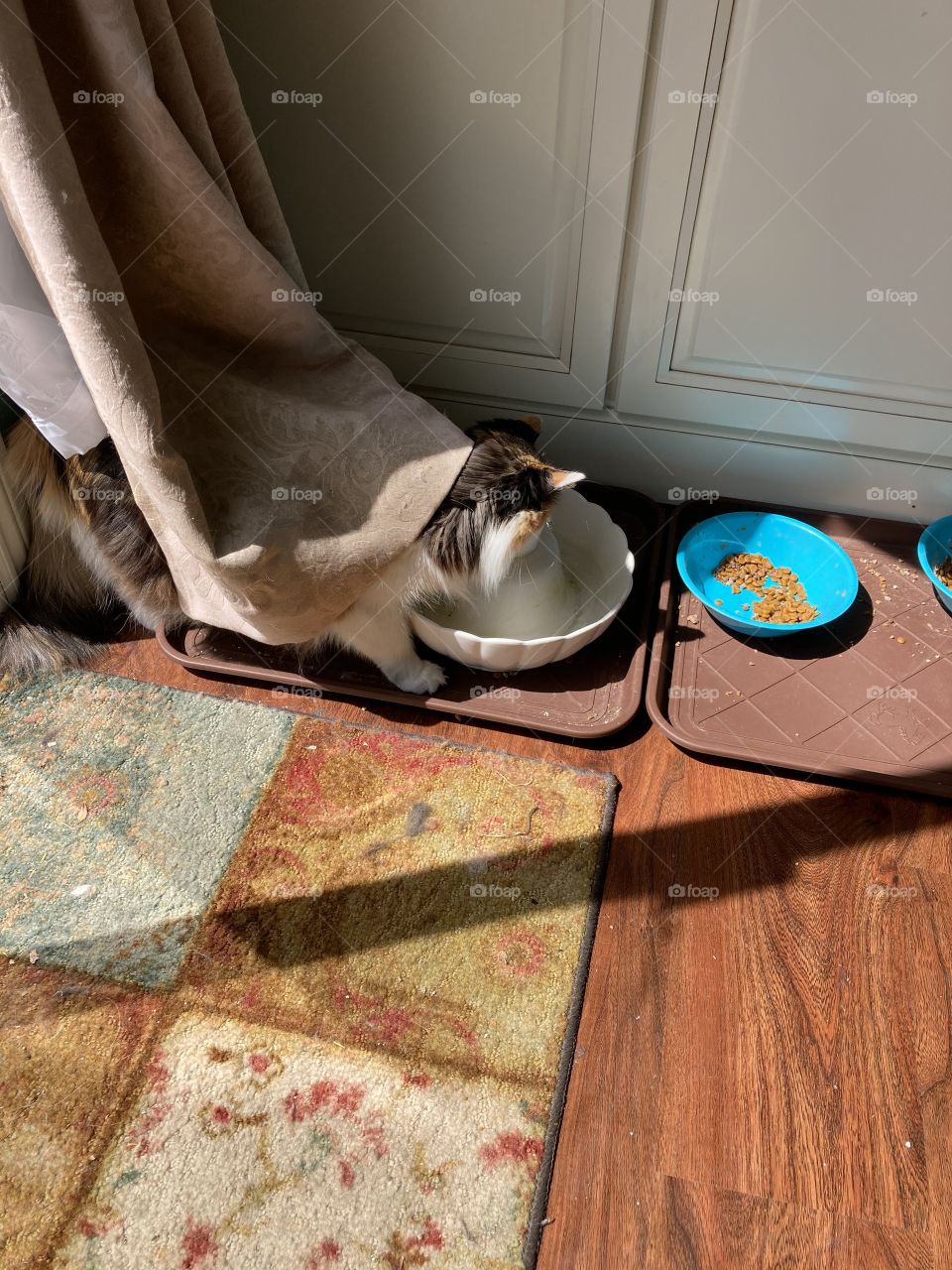 Drinking water incognito 