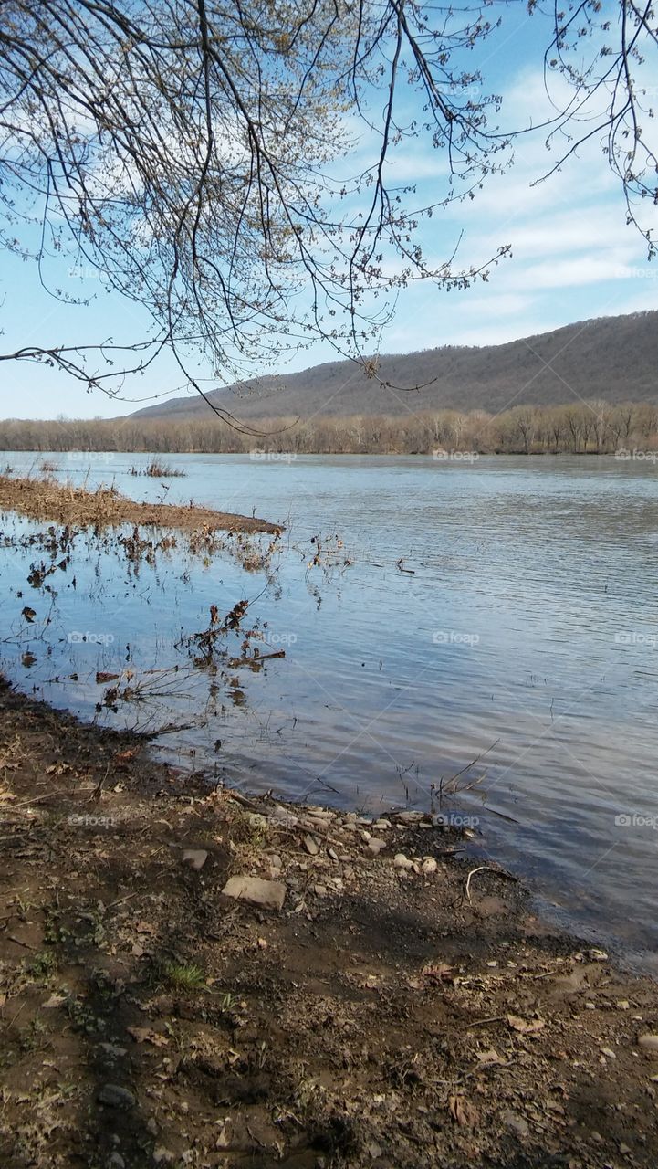 spring river tree landscape mountain