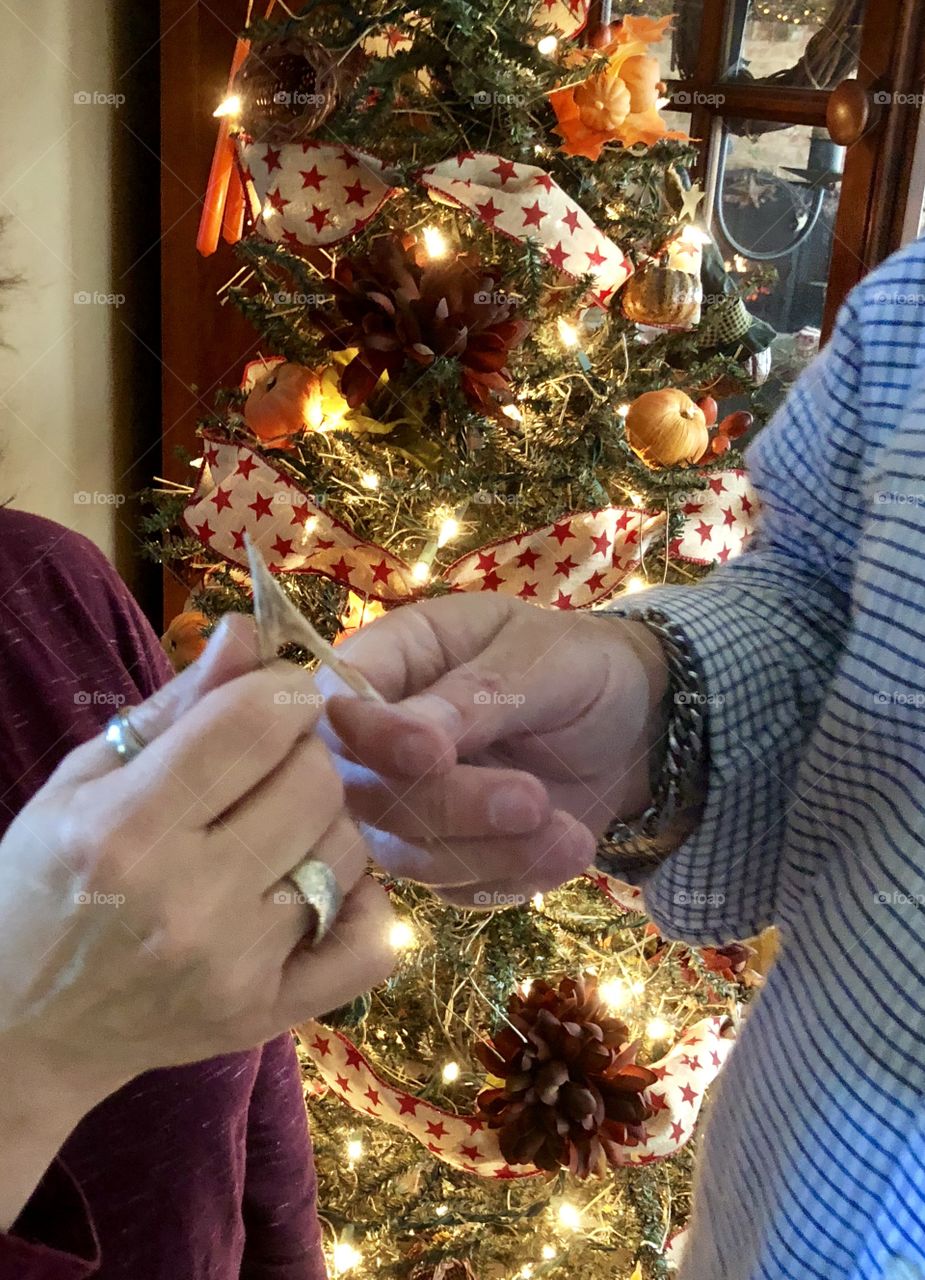 Breaking the thanksgiving turkey wishbone 